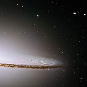 Meet your Posher, Kiara